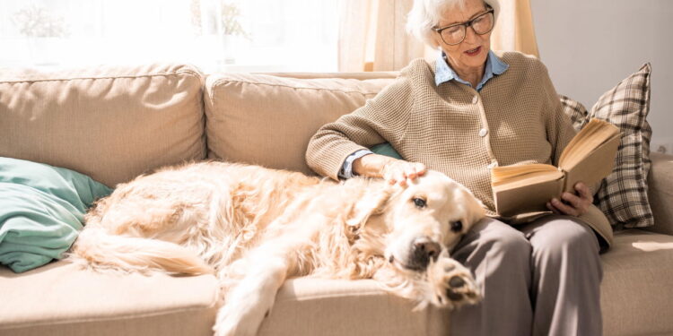 A função mais importante que um pet pode exercer para o ser humano