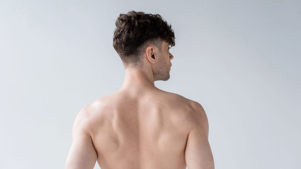 Você nem acredita qual é o órgão mais pesado do corpo humano