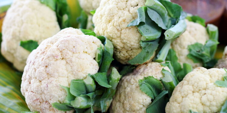 Hortaliça muito amada pelas famílias brasileiras agora pode ser cultivada em seu quintal!