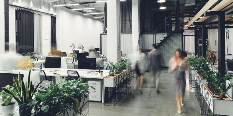 As 3 melhores plantas para aumentar o bem-estar no trabalho