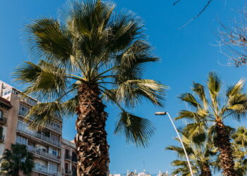 O verão espanhol pode ser a viagem mais inesquecível da sua vida