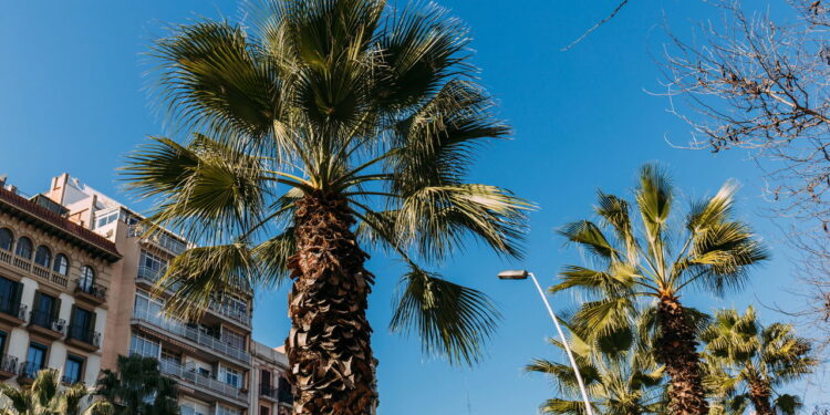 O verão espanhol pode ser a viagem mais inesquecível da sua vida