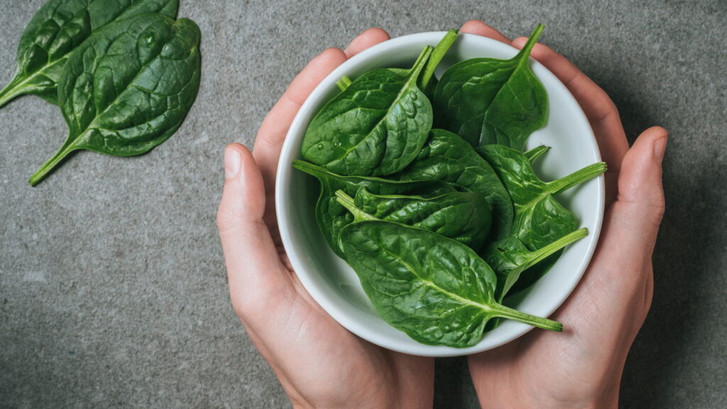 7 plantas ideais para cultivar na sua horta vertical em casa