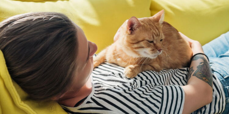 O que significa quando seu gato dorme sobre seu corpo