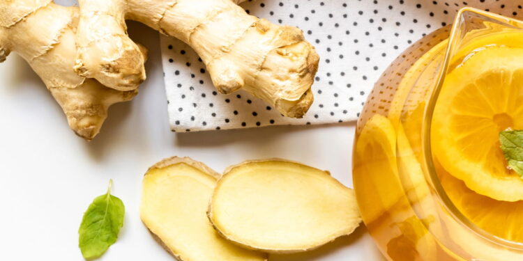 Aprenda a ter um cultivo magico e produtivo dessa planta medicinal incrível!