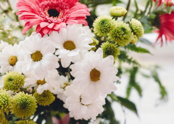 Conheça a flor que além de fácil cultivo vai encantar seu jardim com sua beleza!