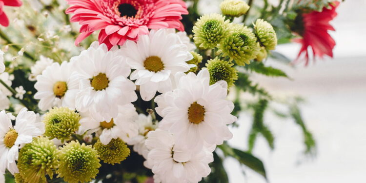Conheça a flor que além de fácil cultivo vai encantar seu jardim com sua beleza!