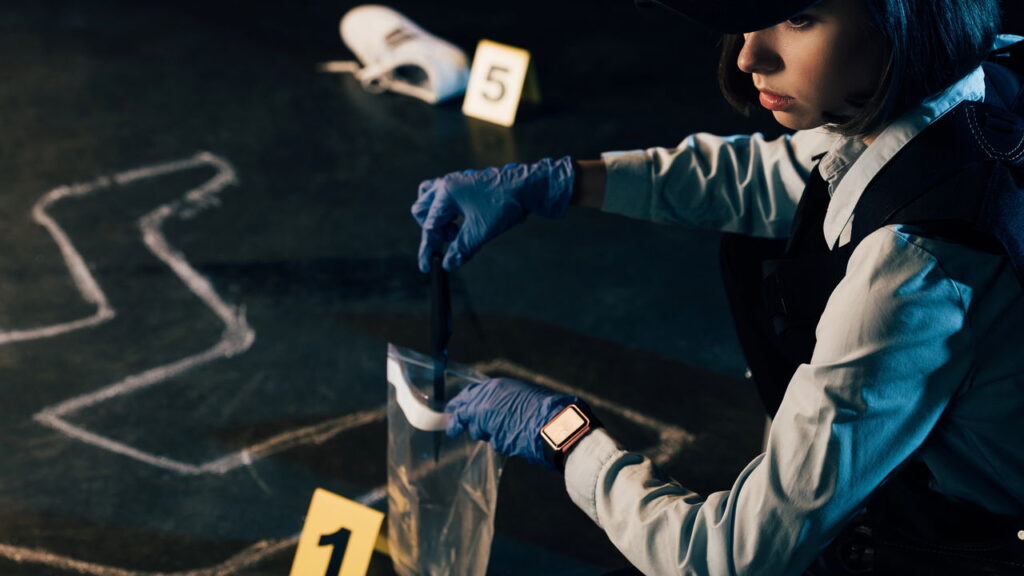 Por que esse tipo de produção gera tanto interesse entre as pessoas