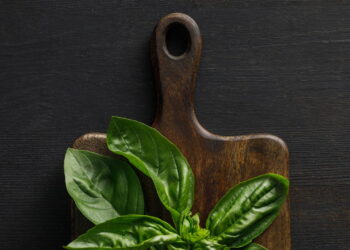 Cansado dos pombos na varanda? Conheça as 4 plantas que os afastam