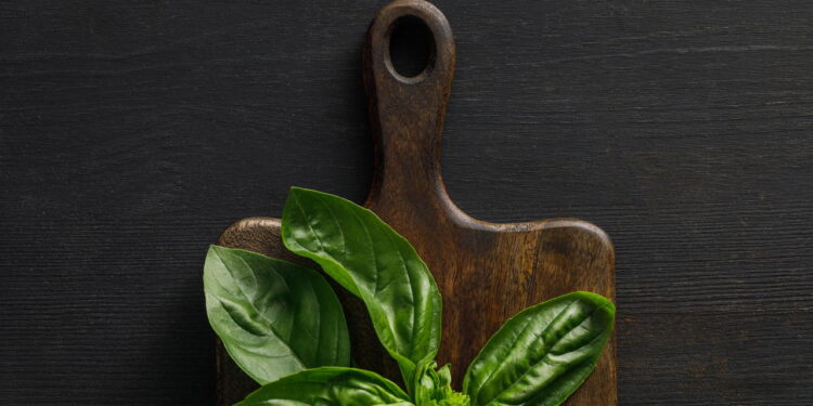 Cansado dos pombos na varanda? Conheça as 4 plantas que os afastam