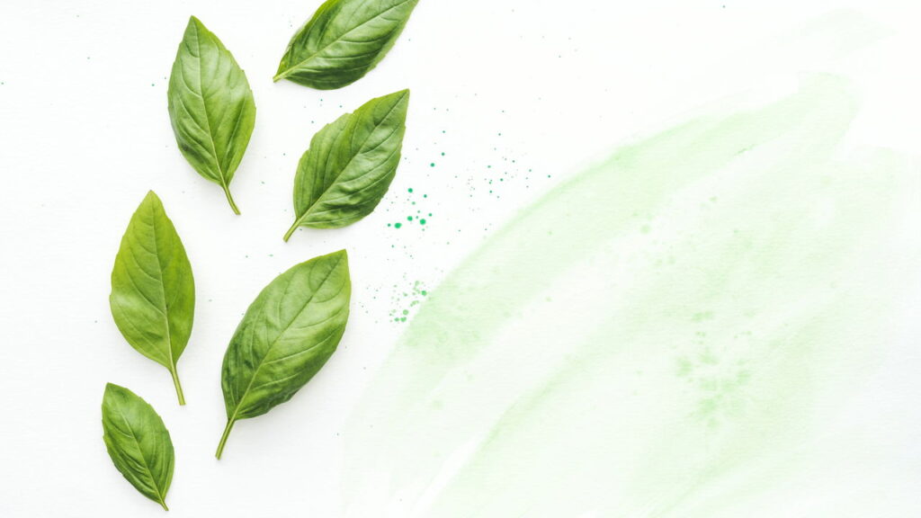 As 6 plantas perfeitas para criar um spray repelente natural