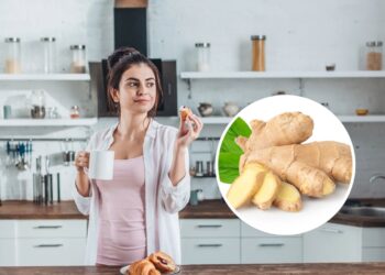 As 4 plantas mais eficazes para começar o dia com energia