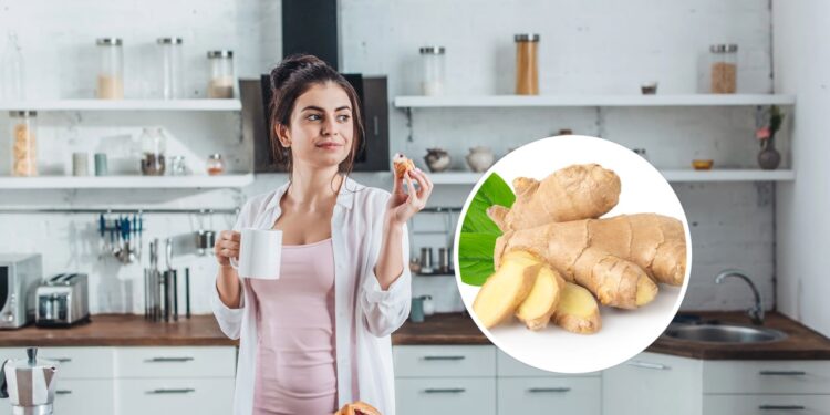 As 4 plantas mais eficazes para começar o dia com energia