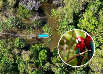 Caminhadas rios e tradições que só esse destino pode oferecer