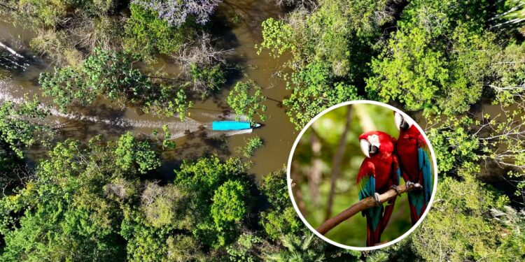 Caminhadas rios e tradições que só esse destino pode oferecer