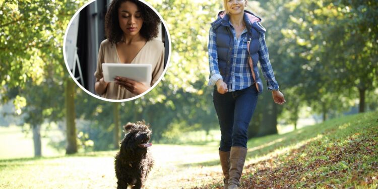 Os melhores exercícios para meditar com mais foco e relaxamento