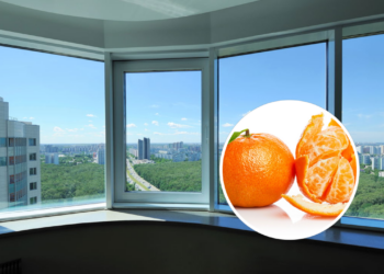 Por que você deve colocar cascas de tangerina perto de portas e janelas