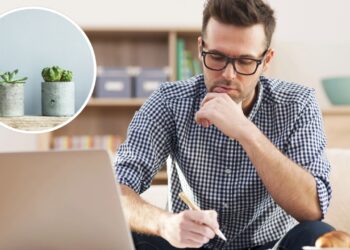 As 4 Plantas poderosas que turbinam sua produtividade e foco em minutos!