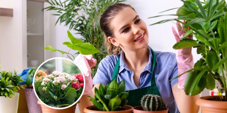 As 4 melhores para quem quer começar e sem muito esforço