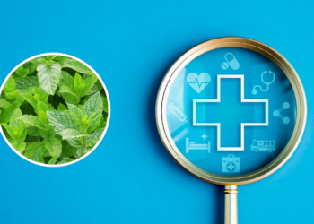 Alívio de desconfortos gastrointestinais com ação carminativa e relaxante