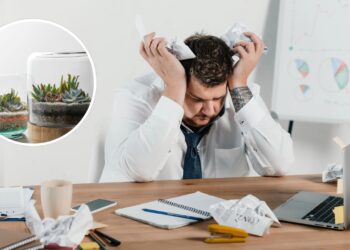 As 3 plantas que podem te ajudar a aliviar o estresse do dia a dia