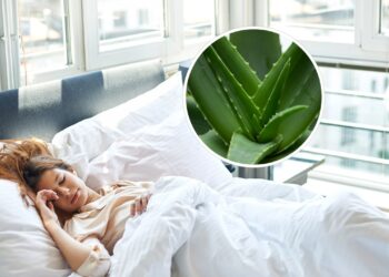 Transformar seu jardim em um refúgio para beija-flores e borboletas é uma tarefa gratificante que envolve a escolha das plantas certas. Descubra como algumas espécies específicas podem fazer a diferença na vida selvagem que visita seu espaço verde. Confira abaixo os pontos-chave que serão abordados: Principais plantas que atraem beija-flores e borboletas. Como integrar essas plantas ao seu jardim de forma harmônica. Dicas práticas para manter o ambiente sempre convidativo. Quais Plantas São Atraentes para Beija-flores? Os beija-flores são atraídos por flores tubulares de cores vibrantes. Se deseja atrair esses pássaros espectaculares, aposte em plumbago e gerânio no seu jardim. Suas flores ricas em néctar são um banquete para eles. Como Tornar seu Jardim um Paraíso para Borboletas? Para transformar seu jardim em um santuário para borboletas, invista em plantas como lavanda e mil-folhas. Elas não só fornecem néctar, mas também servem de abrigo e local para a postura de ovos. Por que Integração é Importante no seu Jardim? A harmonia entre plantas e animais é fundamental. Diversifique as espécies, criando um ecossistema que suporte diferentes tipos de vida selvagem. Esta prática não só embeleza o jardim, mas também fortalece a saúde das plantas. Atenção: Evite o uso de pesticidas que podem afastar tanto as borboletas quanto os beija-flores. Dicas para Manter seu Jardim Atraente o Ano Todo Manter o jardim atraente durante o ano todo requer planejamento e cuidado. Aqui está como fazer: Plante em épocas diferentes para garantir flores o ano inteiro. Regue regularmente, mas evite encharcar. Adube as plantas periodicamente para mantê-las fortes e saudáveis. Leia também: Como Escolher as Melhores Plantas para um Jardim Sustentável Adotar práticas que favorecem a biodiversidade transforma seu jardim em um espaço único e atraente para vários tipos de vida selvagem. Resumo Rápido dos Benefícios em Trazer Vida Selvagem para o Jardim Melhora a saúde das plantas ao promover polinização natural. Ecossistema equilibrado e visualmente atrativo. Conexão direta com a natureza, relaxante e pedagógica.