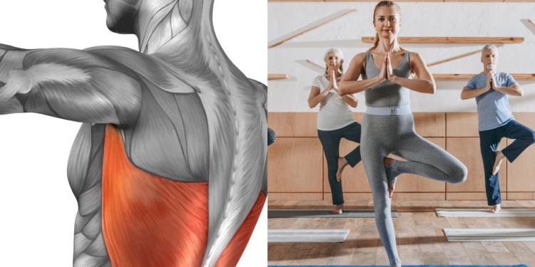 Você vai se surpreender com os músculos que o yoga pode te dar