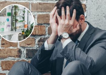 As 5 plantas que ajudam a aliviar sintomas de ansiedade e estresse