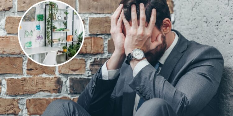 As 5 plantas que ajudam a aliviar sintomas de ansiedade e estresse