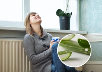 As 3 plantas mais eficazes para acalmar a mente e purificar o ar