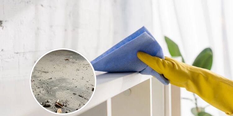 Nem vassoura, nem aspiradores: o melhor jeito de tirar a poeira de casa