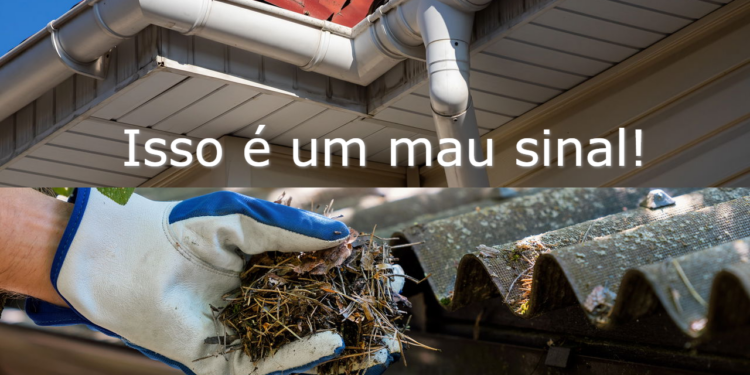 Acúmulo de folhas pode indicar entupimento iminente e infiltrações.