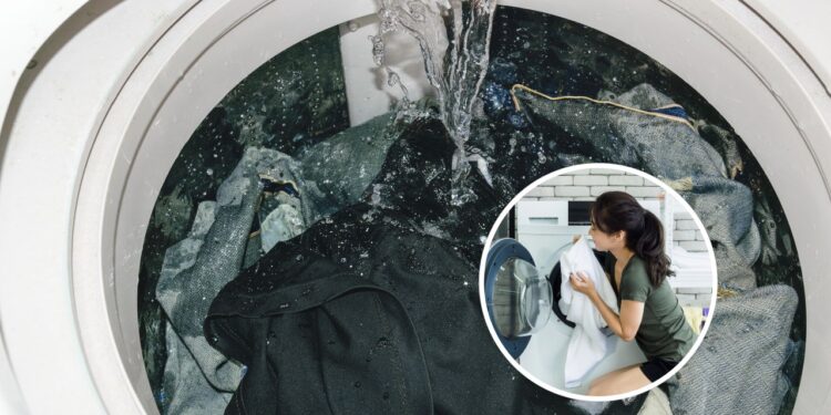 Roupas e toalhas ficarão com um cheiro incrível 'por uma semana' se você adicionar um item barato à máquina de lavar