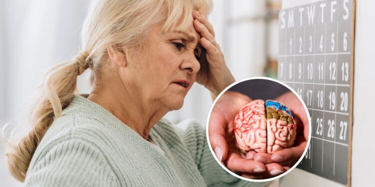 3 hábitos simples são ótimos para sua memória