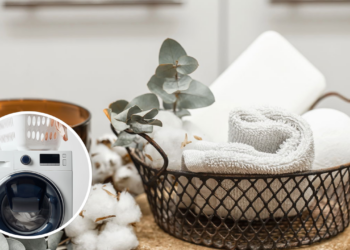 Você está usando toalhas limpas mesmo? Essa verdade pode te surpreender