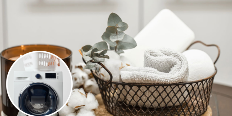 Você está usando toalhas limpas mesmo? Essa verdade pode te surpreender