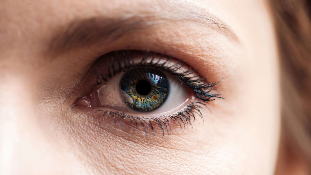 Créditos: depositphotos.com / mrsiraphol