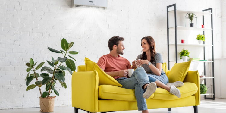 As 5 plantas ornamentais que deixam qualquer ambiente mais elegante