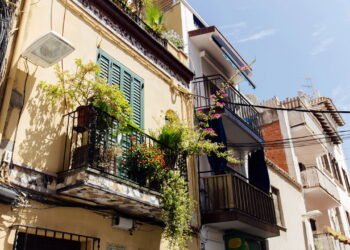 As 3 melhores plantas para deixar sua varanda fresca o ano todo