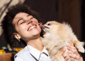Qual raça de cachorro combina com você segundo o mês de nascimento