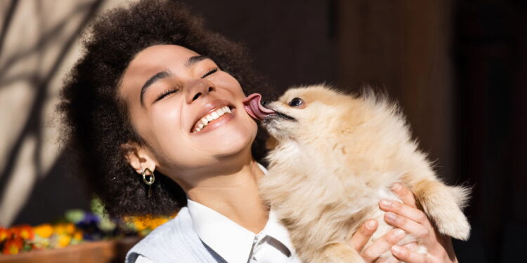 Qual raça de cachorro combina com você segundo o mês de nascimento