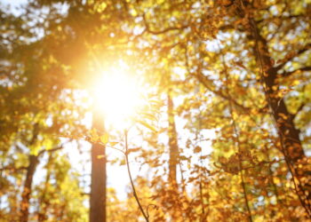 Esses países passam mais de 60 dias sem pôr do sol