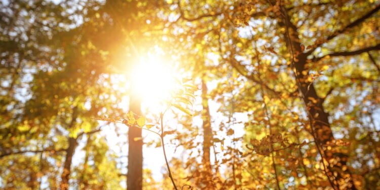 Esses países passam mais de 60 dias sem pôr do sol