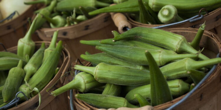 Planta além de não dar trabalho em cultivar ainda é uma das mais usadas na culinária!