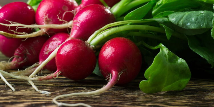 Saiba como cultivar uma hortaliça saudável em casa com dicas simples!