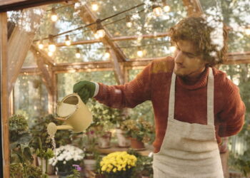 As 5 plantas que provavelmente você está regando errado