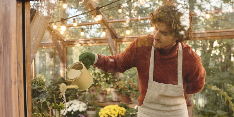 As 5 plantas que provavelmente você está regando errado