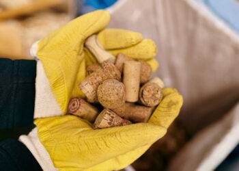 Qual é a finalidade de colocar rolhas em vasos de flores e como elas podem ajudar as plantas do jardim?