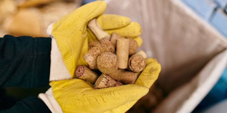 Qual é a finalidade de colocar rolhas em vasos de flores e como elas podem ajudar as plantas do jardim?