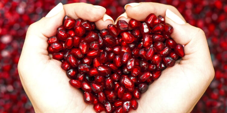 A fruta mais potente para prevenir doenças está ao alcance de todos